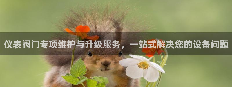 新宝gg开户流程
