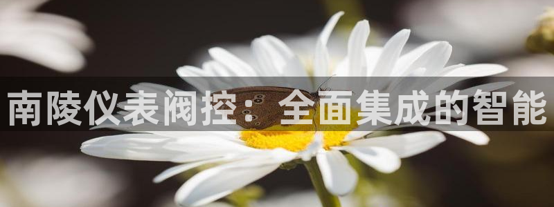 新宝gg灬75505