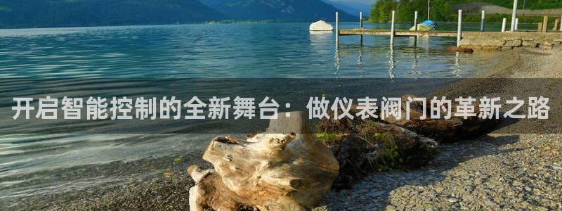 新宝gg用哪个浏览器