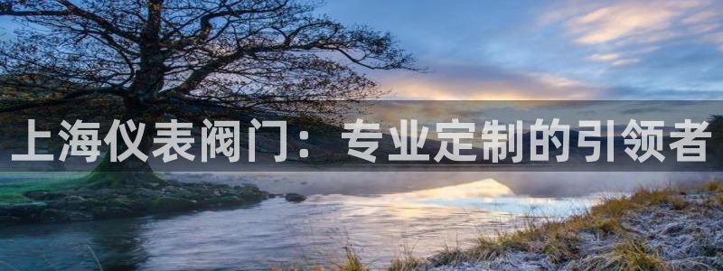 新宝gg挂机app
