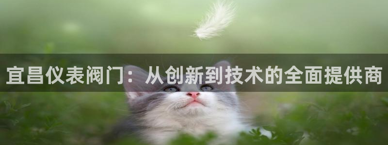新宝gg类似