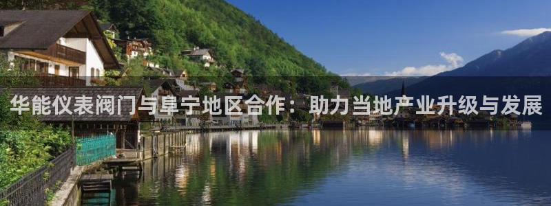 怎么代理新宝gg