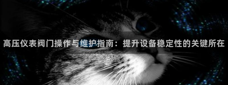 新宝gg招商致胜团队