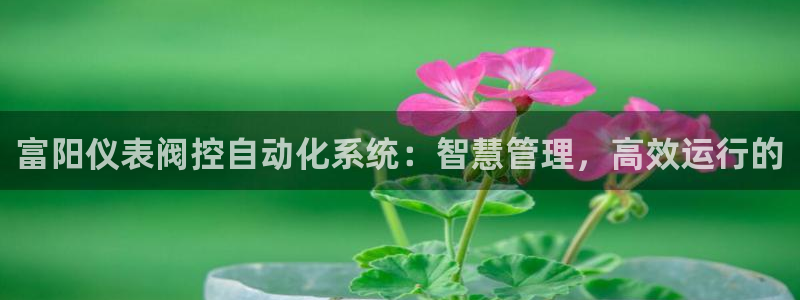 新宝gg挣钱