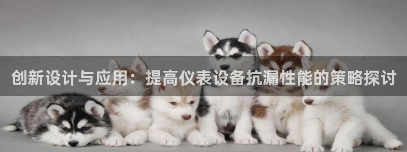 新宝gg总代理