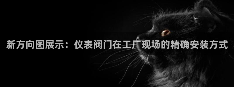 新宝gg扣钱