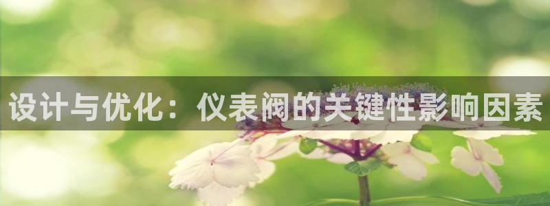 新宝gg 首页