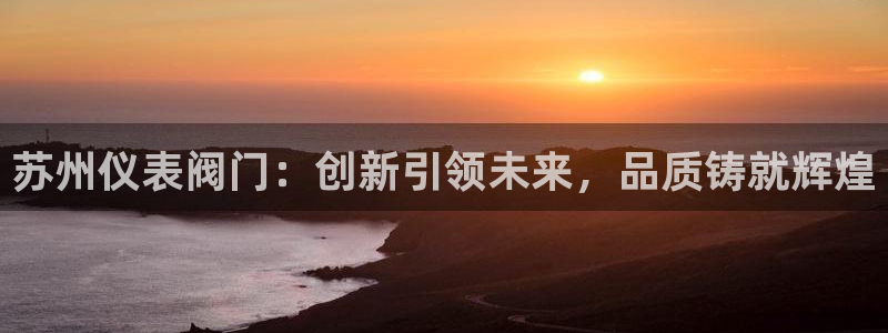 新宝gg介绍