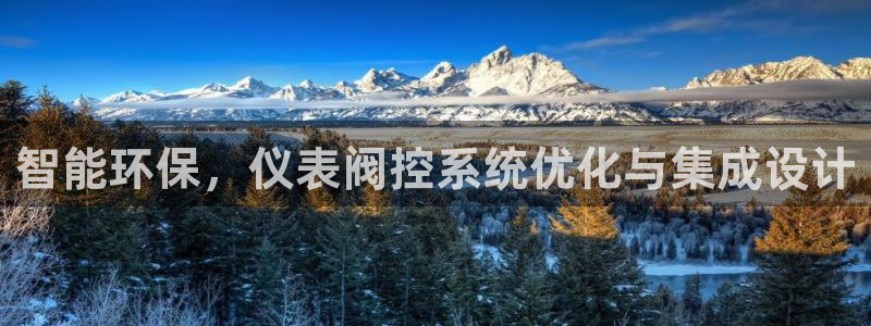 新宝gg开户流程