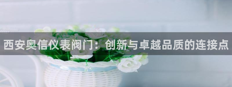 新宝gg主管花木兰