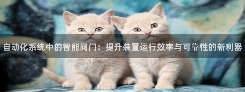 菲律宾新宝gg娱乐