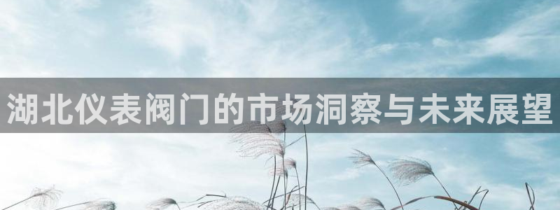 新宝给gg