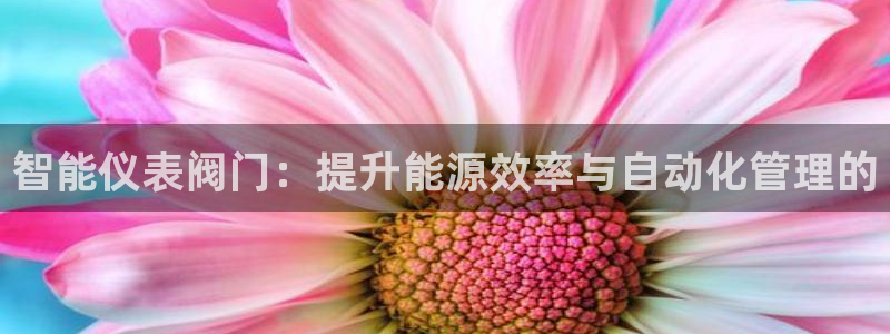新宝gg平