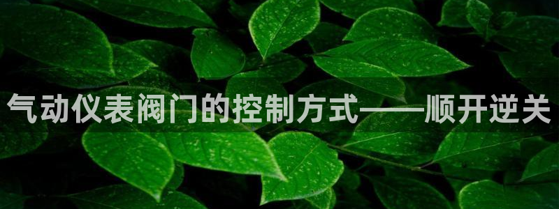 新宝gg网址