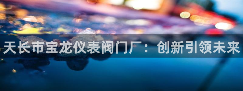 新宝gg网点