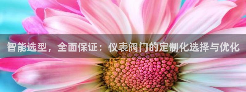 新宝gg cqdellar