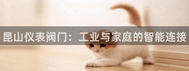 新宝gg平台连接