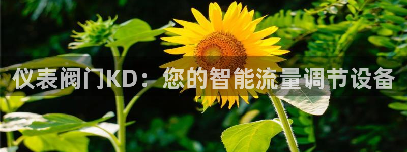 新宝gg返点