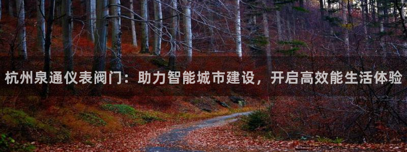 新宝gg辅助
