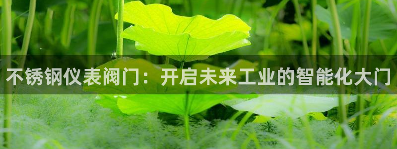 新宝gg娱乐平台