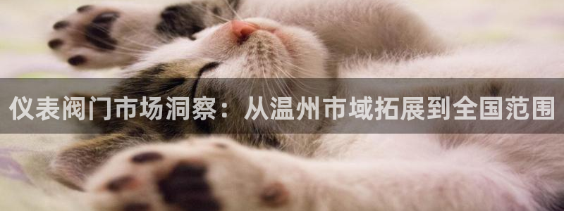 新宝gg推荐
