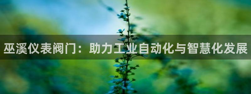 新宝gg平台下载安装