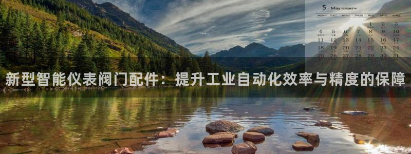 正版新宝gg