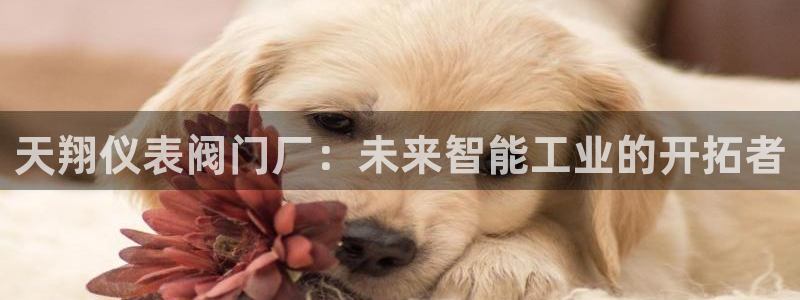 创造奇迹 新宝gg