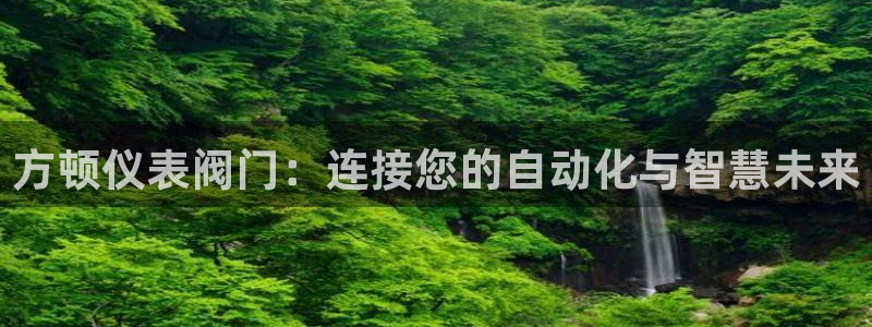 新宝gg建立团队