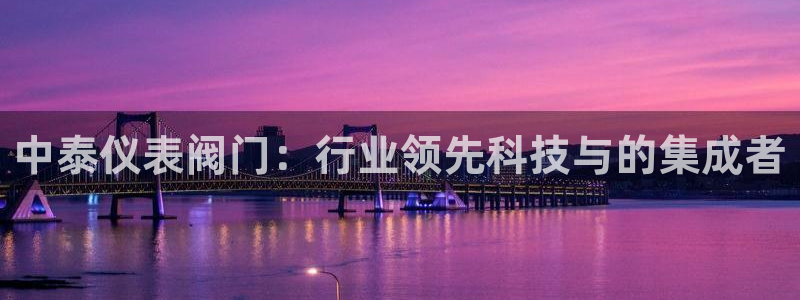 新宝gg资料