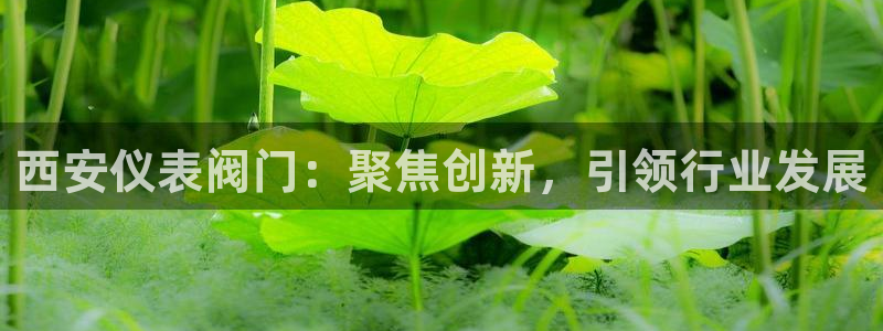 新宝gg主管