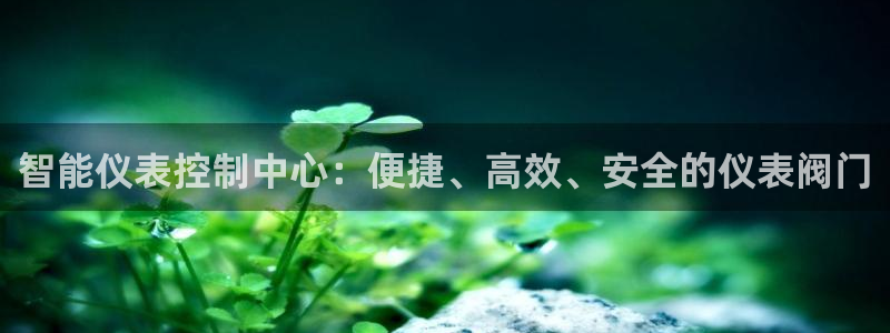 新宝gg平台连接