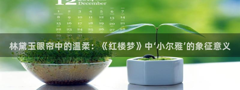 新宝GG上级