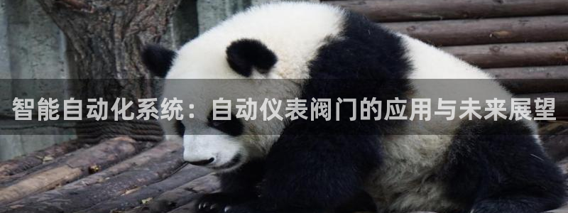 新宝gg盈亏