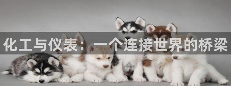 11新宝gg