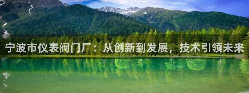 新宝GG电话