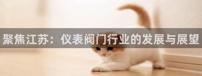 新宝GG玩家