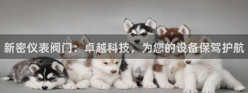 新宝gg娱乐客户端下载