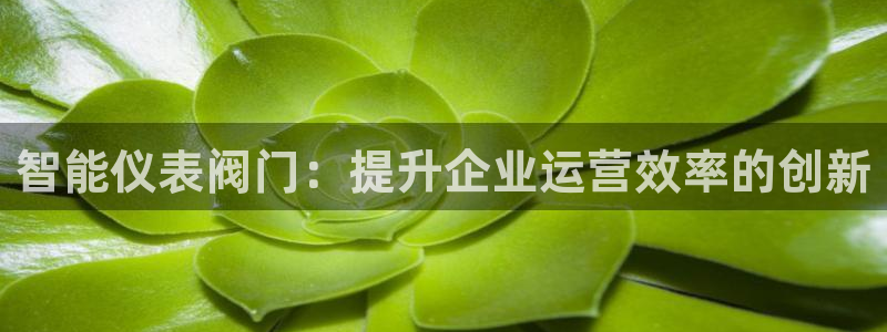 新宝gg代