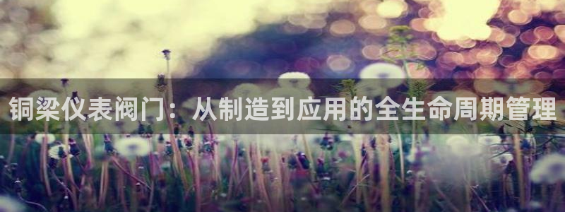 新宝gg直