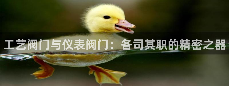 新宝gg黑平台