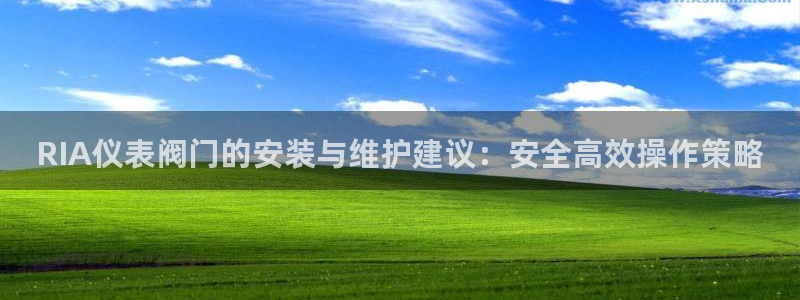 新宝GG专业团队