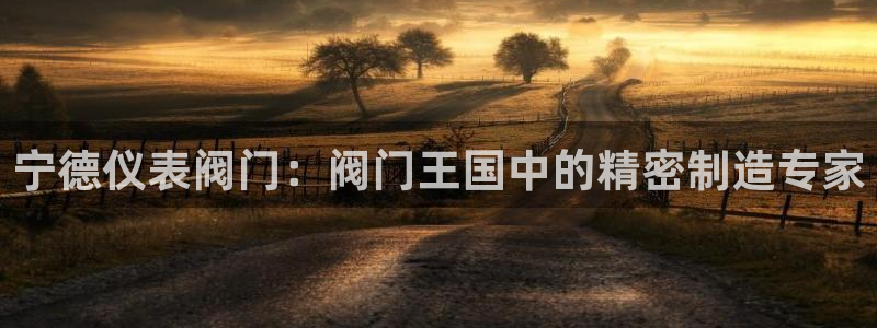 创造奇迹 新宝gg