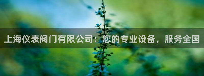 怎么下载新宝gg