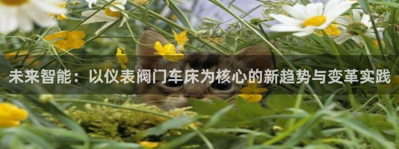 xbgg新宝gg