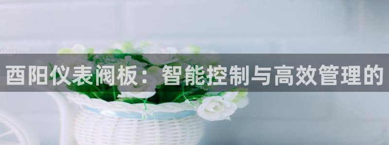 新宝gg联系