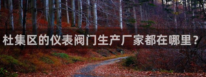 新宝gg成立
