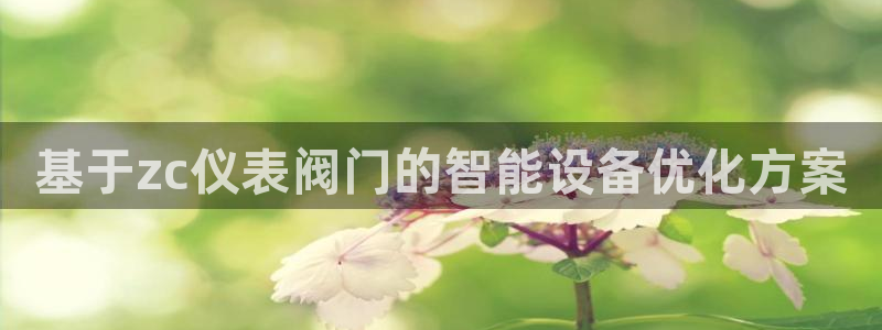 新宝gg娱乐-上鼎狐网