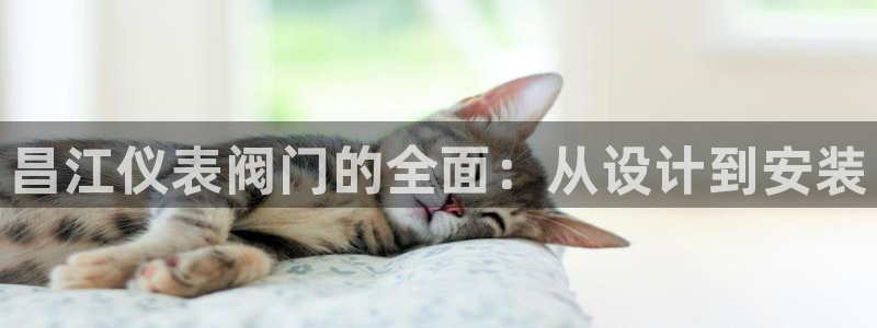 新宝GG创造奇