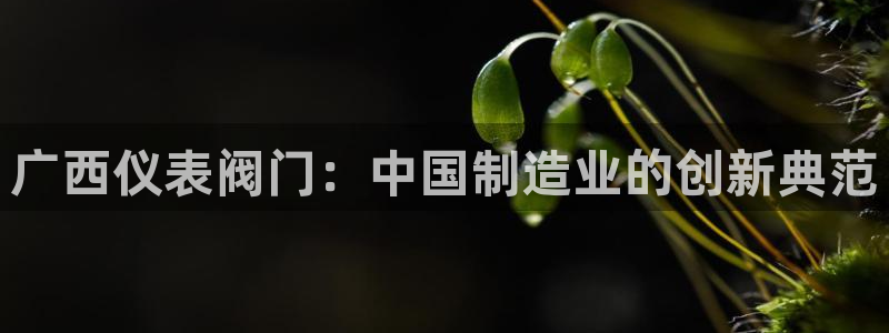 新宝gg创造奇迹 新宝gg